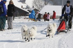 Lenk 2012 SM